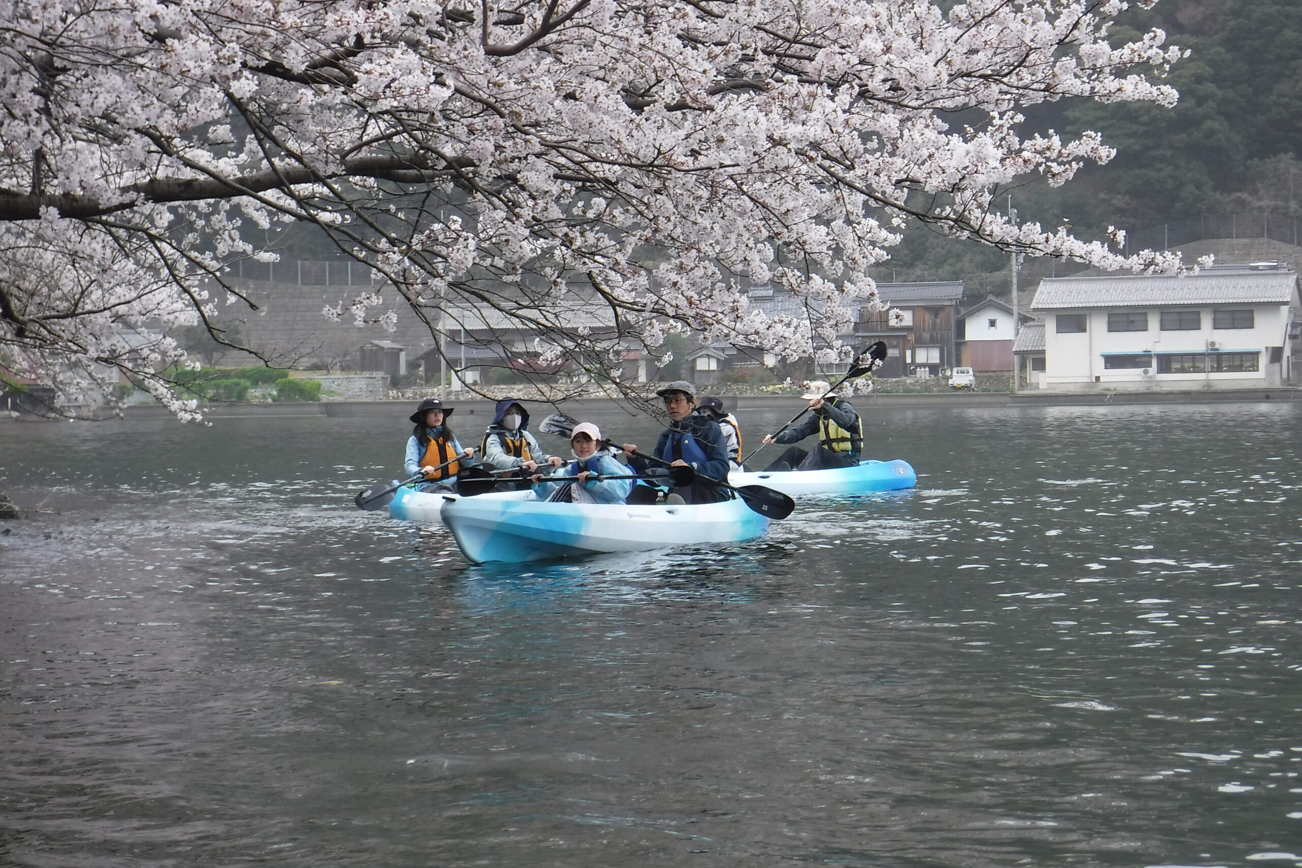 春カヤック